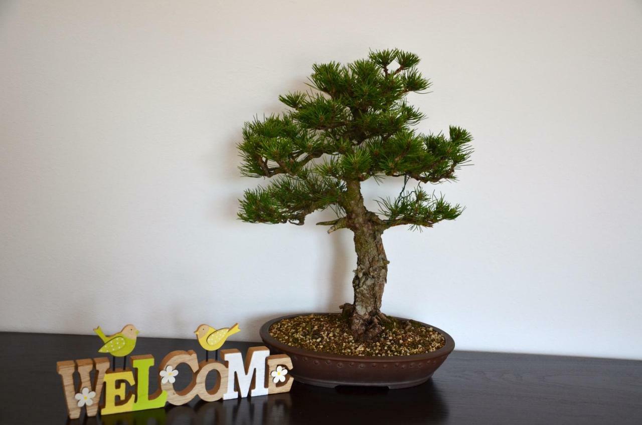 Bonsai House Lejlighed Portorož Eksteriør billede